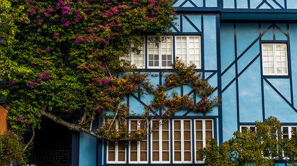 Fototapeta na wymiar Beautiful house on Lombard street, San Francisco, California. USA.