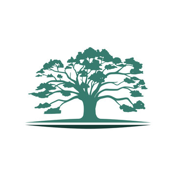 Big Oak Tree Ecology Environmental Nature Symbol