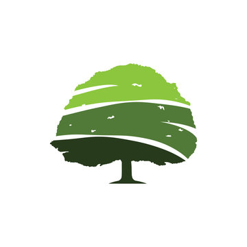 Green Oak Tree Evergreen Ecology Clean Symbol