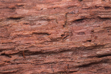 Detail image of wood surface for background use