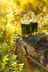 herbal natural tincture of medicinal herbs in a square glass bottle on a stump in an autumn forest in bright sunlight.magic potion.Homeopathy and alternative medicine