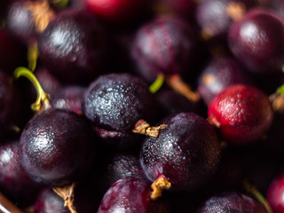 Gooseberry berries background or texture. The ripened berries of gooseberries. Natural background.