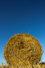 Hay roll from low angle