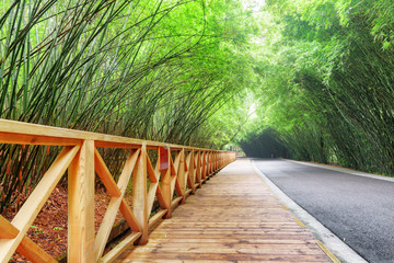 Wooden walkway along scenic road among bamboo woods