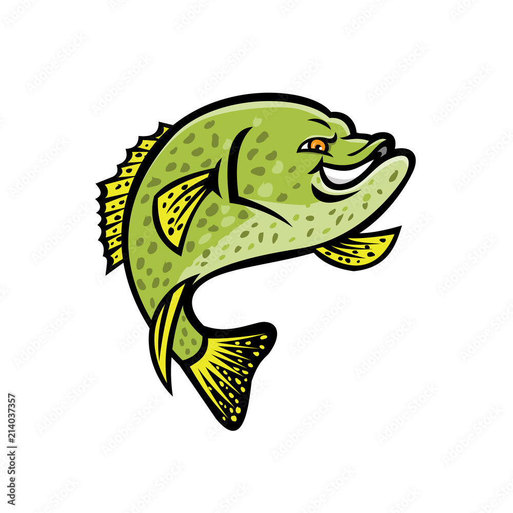 Wall mural Crappie Fish Mascot