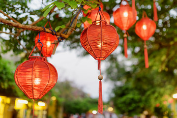 Obraz premium Beautiful evening view of green tree decorated with red lanterns