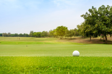 Fototapeta premium Golf ball on blurred beautiful green grass with sunlight in morning time. Sport and recreation playground for golf club concept.