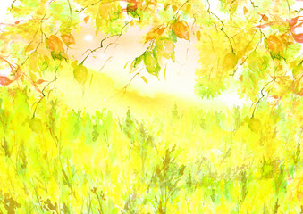 Obraz premium Watercolor country forest landscape. Autumn, summer forest Orange and yellow. Branches of birch, aspen, willow, bushes, wild plants and grass. Art illustration, abstract splash of paint. 