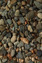 Rocks on the ground