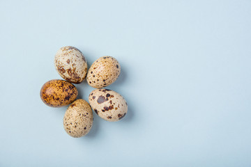 Beautiful spotted fresh quail eggs on a blue paper background
