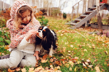 happy kid girl playing with her cavalier king charles spaniel dog in autumn, walking outdoor in...