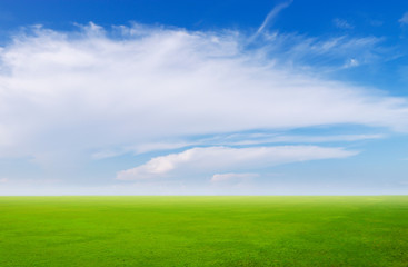 Obraz na płótnie Canvas Green grass in the field.