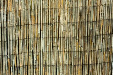 fence of dry bamboo wood texture