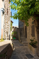 Fototapeta na wymiar Kleine Gasse mit Hinterhof und Treppenaufgang in dem mittelalterlichen Dorf Balazuc an der Ardeche