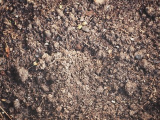 Soil background or texture