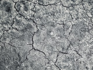 Dried cracked soil background or texture