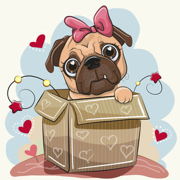 Birthday card with a Cute Cartoon Pug Dog in the box