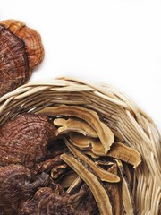 Ganoderma Lucidum - Ling Zhi Mushroom isolated white background