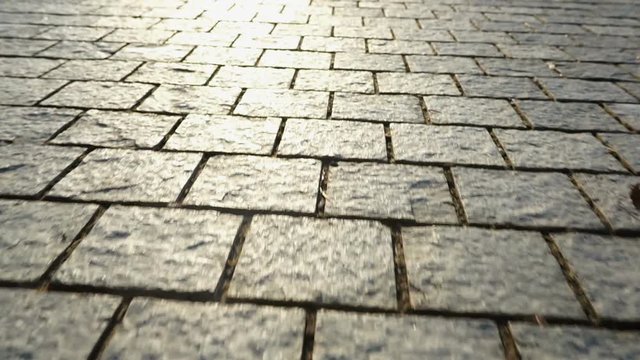 Pavement made of stone. Beautiful garden walkway