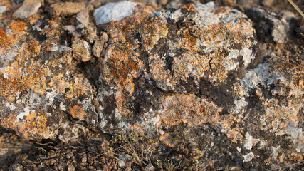 Stones. Rocks. Background. Texture