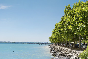 Promenade with Trees in a Row  in Bardolino ,Italy,Garda Lake 