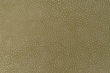 Green leather texture closeup, useful as background. Abstract background, empty template.