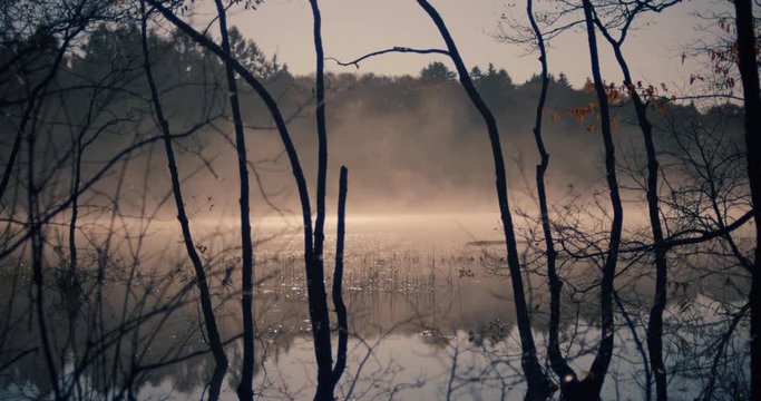 秋のイメージ　湖面と霧