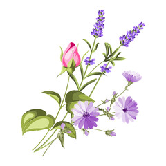 Obraz na płótnie Canvas Label with lavender. Bunch of lavender flowers on a white background. Botanical illustration in vintage style. Vector illustration.