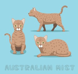 Cat Australian Mist Cartoon Vector Illustration