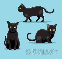 Cat Bombay Cartoon Vector Illustration