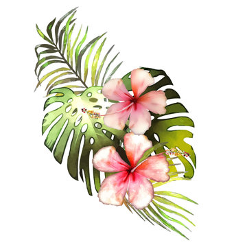 Hand drawn watercolor tropical plants.