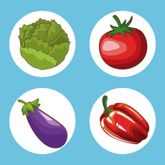 Set of food round icons vector illustration graphic design