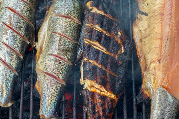 Fresh trout on grill directly taken from water