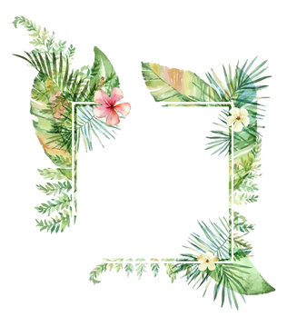 Hand drawn watercolor tropical plants.