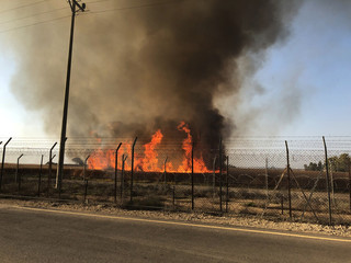 Fires in Israel that caused from burning kites and balloons that sent from the Gaza strip to Israel by the terror organisation "Hamas". Thousands of acres of national parks with lots of animals burnt.