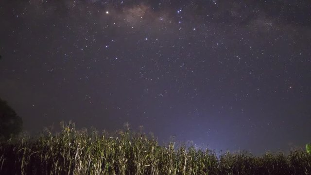 A time-lapse of the milky-way galaxy above a corn field.