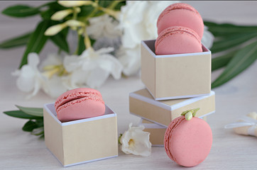 Pink rasberry macarons in the gift box on wooden background. French dessert macaroons and white flowers for best present or surprise.