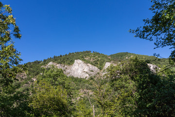 Fototapeta premium Hill