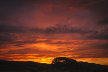 Sunset sky background. Nature photo