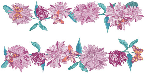 Aster with butterflies, Daisy Flower Border. Vector Illustration.
