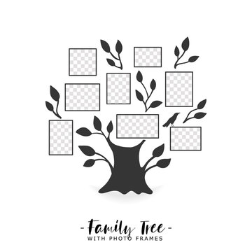 Family tree with photo frames. Memories. Insert your photo into template frames. Collage vector illustration.