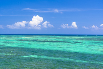 Fototapeta na wymiar 石垣島の入道雲と珊瑚礁の海