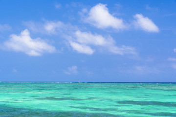 Fototapeta na wymiar 石垣島の入道雲と珊瑚礁の海