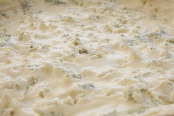 close up on gorgonzola cheese