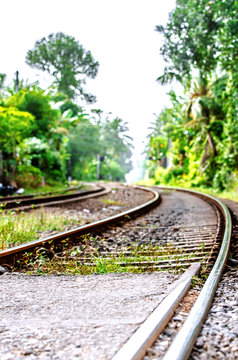 A winding railway running through the jungle in Sri Lanka.
