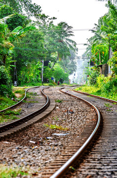 A winding railway in Sri Lanka, running through the jungle.
