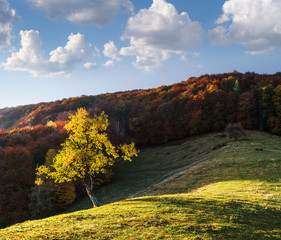 Autumn landscape in the mountains