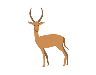 Gazelle. Flat vector illustration. Isolated on white background