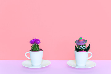 Small cactus in a flowerpot on a trendy background.