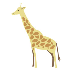 Obraz premium Giraffe. Flat vector illustration. Isolated on white background